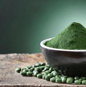 Spirulina