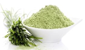 Organic EU Wheat Grass Powder