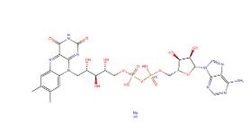 Flavin adenine dinucleotide disodium (FAD disodium)