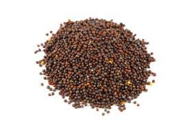 Mustard Seeds