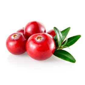 Cranberry extract