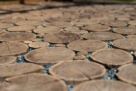 Round acacia paving