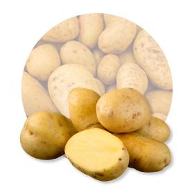 Potatoes