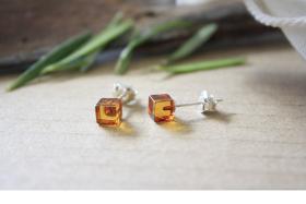 Baltic Amber Stud Earrings