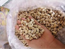 High Quality Raw Pistachio