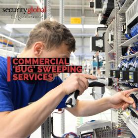 Bug Sweeping - Counter Surveillance TSCM Services