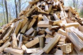 Poplar FireWood