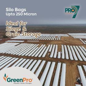 Silo Bags