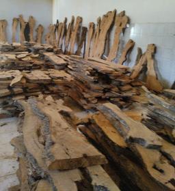 Olive Wood Slabs & Cross cut