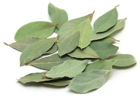 KUYA TARIM LAUREL LEAVES SPICES SEEDS HERBS 