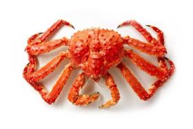 Live King Crab