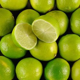 Lime