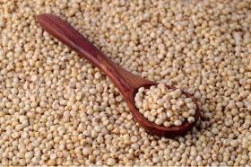 Sorghum Grains 