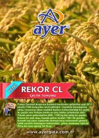 REKOR CL RİCE SEEDS 