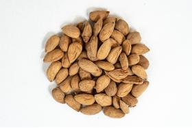 ACTIVATED ALMONDS, WALNUTS, BRAZIL AND CASHEW