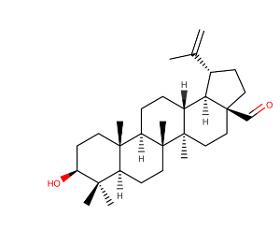 Betulinaldehyde