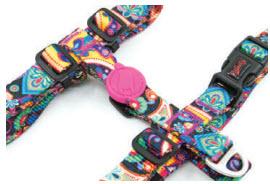 H-Type Harness Paisley