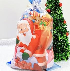 Santa Holiday Gift Bags