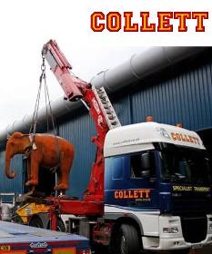 Crane vehicles & lorry loaders