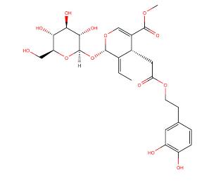 Oleuropein