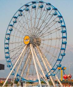 WONDER WHEEL