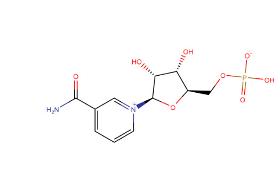 β-Nicotinamide mononucleotide