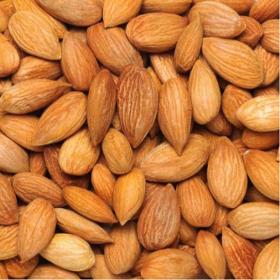 Healthy Almond Nuts and Dried almond Nuts