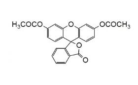 Cellstain-FDA