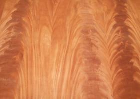 decorative veneers plywood