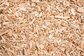 Beech Wood Chips