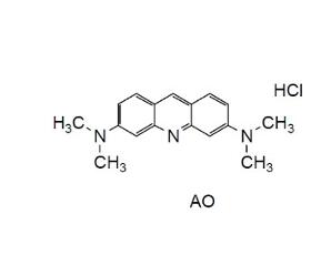 Bacstain- AO solution