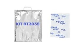 20 20×25 thermal bags with synthetic ice