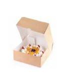 Cake Box Boxcak2/1900 Ml