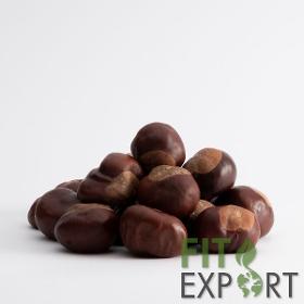 Horse chestnut 
