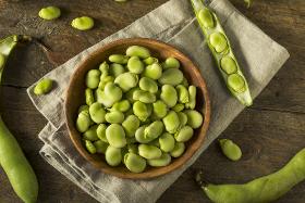 Organic Favabean Protein