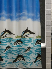 Bathroom Curtain