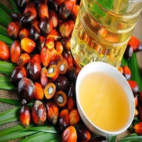 Palm Oil