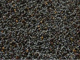 Poppy Seeds For Sale Online