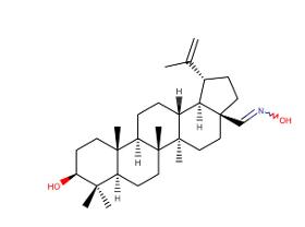 Betulinaldehyde oxime