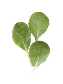 Pak Choi