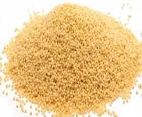 White French Millet