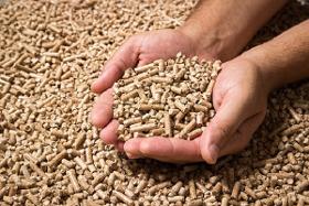 Wood Pellets