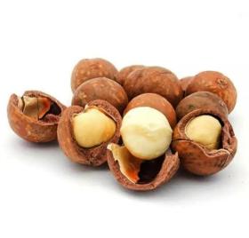 Macadamia Nuts