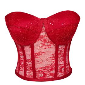 Red Transparent Tie-Up Corset Bustier