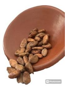  Cocoa beans- Wholesale