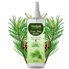 Floral water from White Pine (Pinus sylvestris) 200 ml.