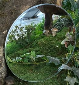 Channelled / Bevelled / Polished Silver/Grey/Bronze Mirror
