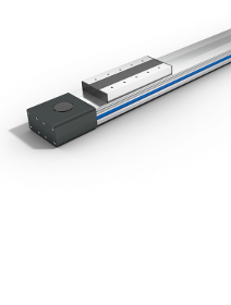 Linear Module With Integrated Guides Type Ftd