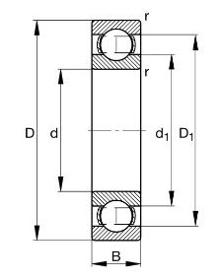 6204 Bearing