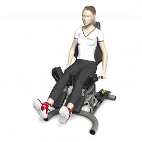 compass 200 Abductor/adductor